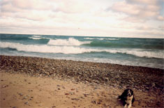 lake superior rental cottage upper peninsula