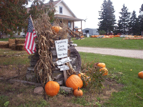 Upper Peninsula Winery