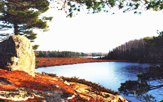 Craig Lake Park Hiking tour
