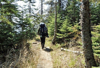 Hiking tour McCormick Wilderness