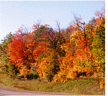 Chassell Michigan in the upper peninsula