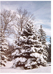 snow in grand marais michigan