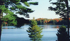 halfway lake cottages newberry mi