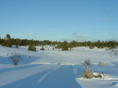snowmobile the kingston plains