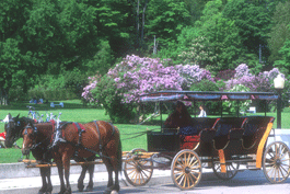 Lilac Festival Mackinac Island