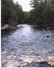 iron mountain mi nicolet national forest upper peninsula