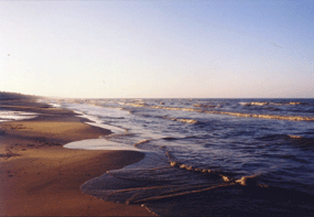 Beach on Lake Michigan, Top of the Lake Cottage